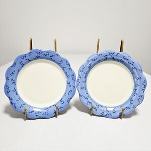 Pfaltzgraff (2) Summer Breeze Scalloped Salad Bread Small Plates Floral Blue 9"